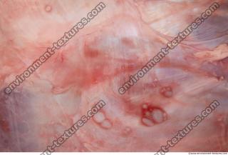 Photo Textures of RAW Pork Meat